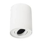 Modern surface mounted downlight white, Onno