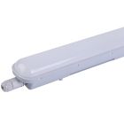 White LED batten light, Tribun, 30W, 6000K LED, IP65
