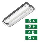 Black emergency lighting incl. pictograms, Pedram, 3W, 6500K LED, IP66