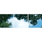 Photo print cloud with forest - set of 3 acrylic plates with print, for 60x60 cm LED panels