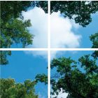 Photo print cloud with forest - set of 4 acrylic plates with print, for 60x60 cm LED panels