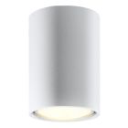 Aluminium surface mounted downlight white, Harley