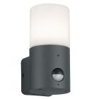 Anthracite outdoor wall light with motion sensor modern, Fjelso, IP44