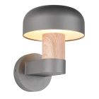 Grey outdoor light modern, Krishna, IP54