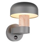 Grey outdoor wall light with motion sensor modern, Krishna, IP54