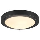 Black bathroom ceiling light modern, Hadleigh, IP44