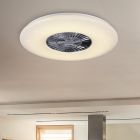 Chrome ceiling fan modern, Damia, 60W, warm to cold white adjustable LED, with remote control