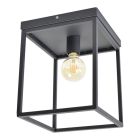 Industrial ceiling light black, Redox