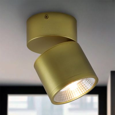 Modern ceiling spotlight brass, Thomas