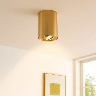 Metal surface mounted downlight brass, Onno