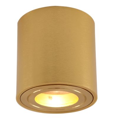 Metal surface mounted downlight brass, Alion, IP44