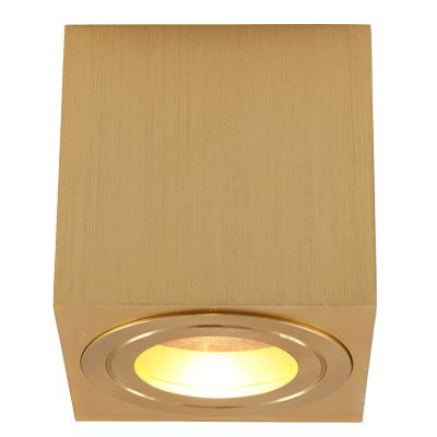 Metal surface mounted downlight brass, Alion, IP44