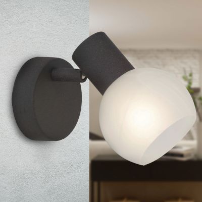 Glass wall light brown, Bertus