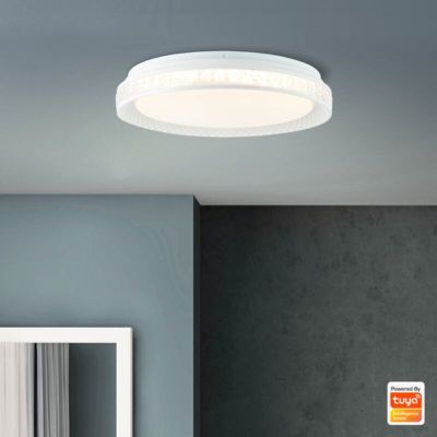 Modern smart ceiling light transparent, Rashmi, 24W, warm to cold white adjustable LED