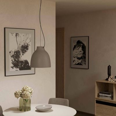 Taupe industrial pendant light aluminium, Thijs