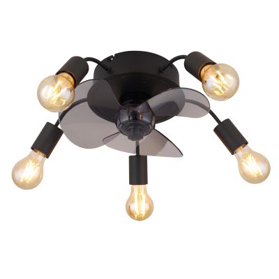 Black modern ceiling fan metal, Kiet, with remote control