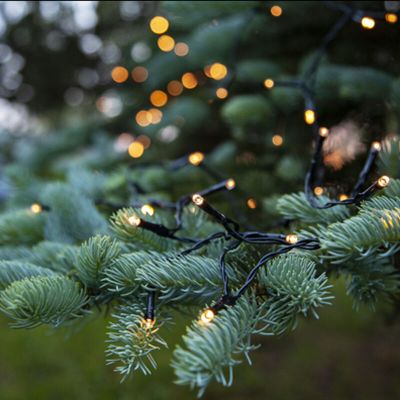 1.8m LED Christmas lighting on battery, 24 lamps, Indoor and Outdoor