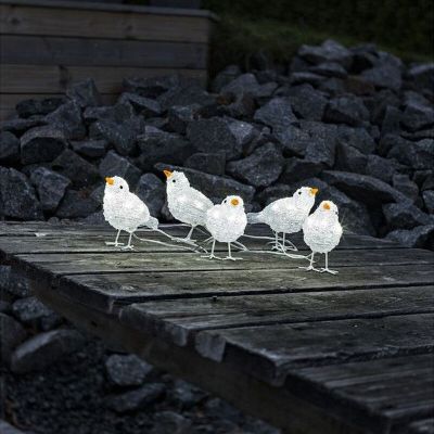 3d Christmas figure Vogel, Acrylic, Transparent, 2W 4000K (White) integrated LED