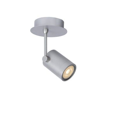 Modern ceiling spotlight grey, Birk