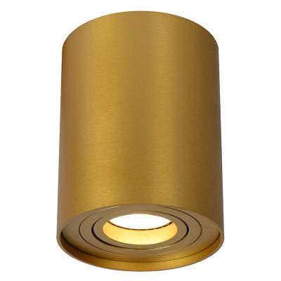 Golden surface mounted downlight modern, Tube