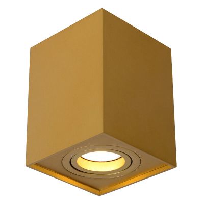 Golden surface mounted downlight modern, Tube