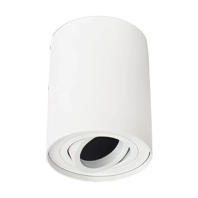 Modern surface mounted downlight white, Onno