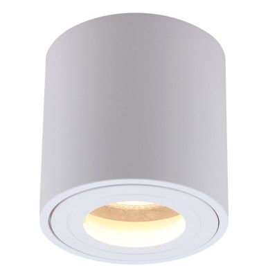 Modern surface mounted downlight white, Alion, IP44