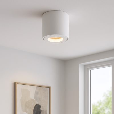 Modern surface mounted downlight white, Alion, IP44