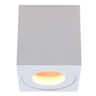 Modern surface mounted downlight white, Alion, IP44