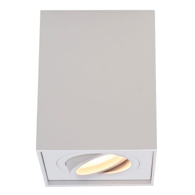 Modern surface mounted downlight white, Dane