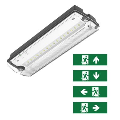 Black emergency lighting incl. pictograms, Pedram, 3W, 6500K LED, IP66