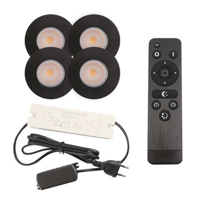 4 black porch spotlights Dico, IP65, with connection set and remote control