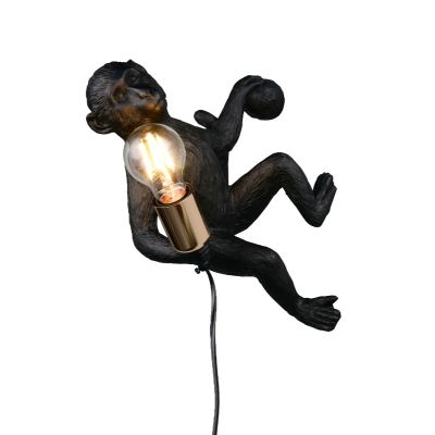 Black wall light plastic, Macaca