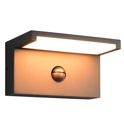 Anthracite outdoor wall light with motion sensor modern, Patrique, IP54