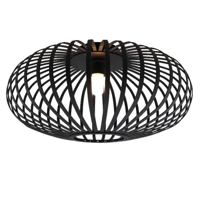 Industrial bathroom ceiling light black, Lieve, IP44