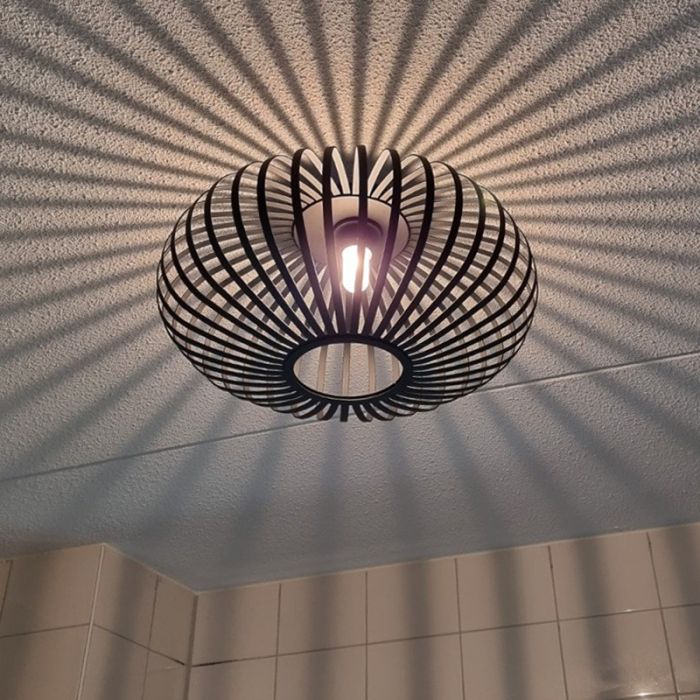 Industrial bathroom ceiling light black, Lieve, IP44