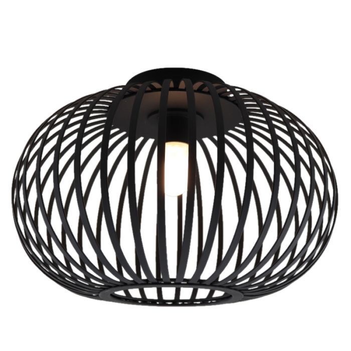 Industrial bathroom ceiling light black, Lieve, IP44