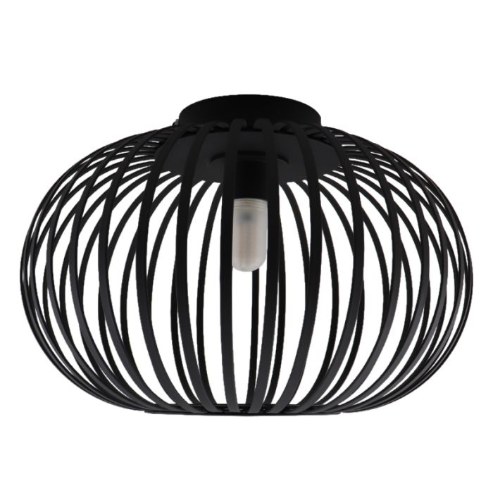 Industrial bathroom ceiling light black, Lieve, IP44