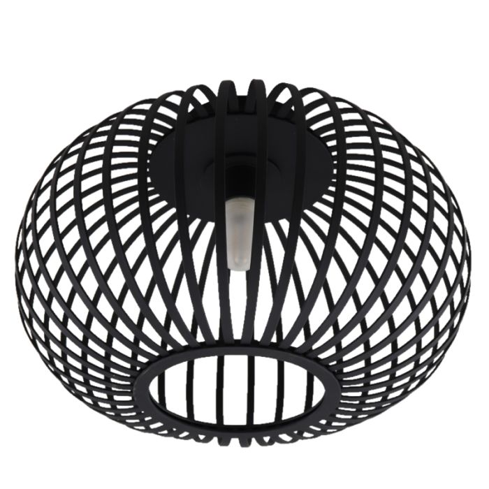 Industrial bathroom ceiling light black, Lieve, IP44