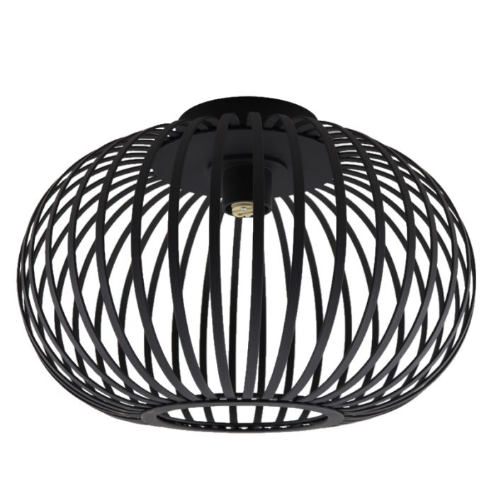 Industrial bathroom ceiling light black, Lieve, IP44