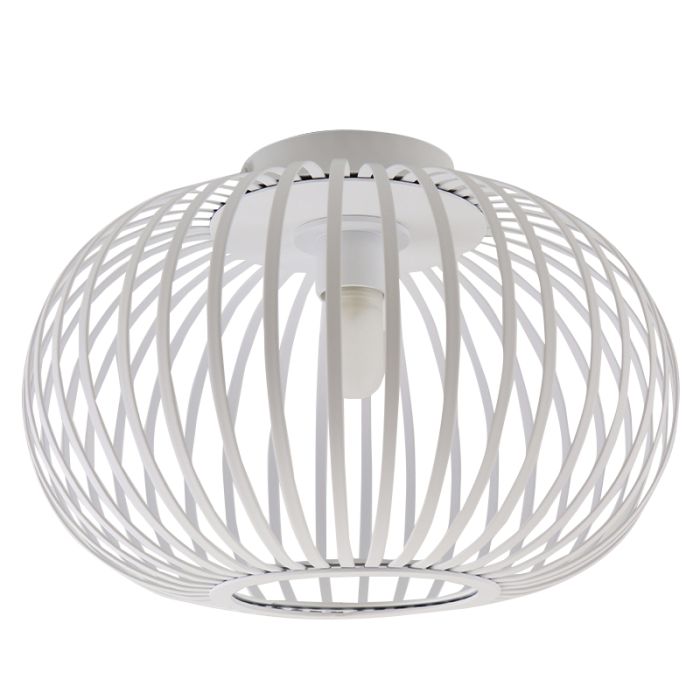 Industrial bathroom ceiling light white, Lieve, IP44