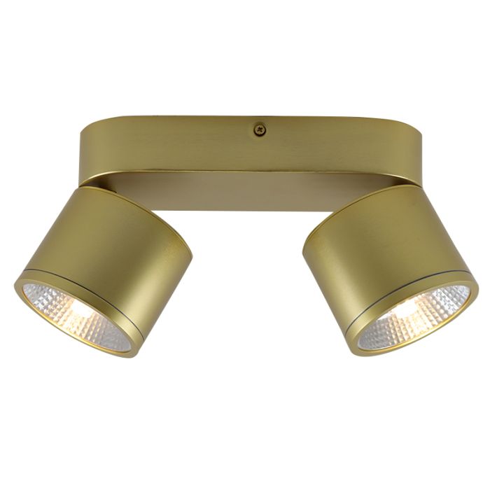 Modern ceiling spotlight brass, Thomas
