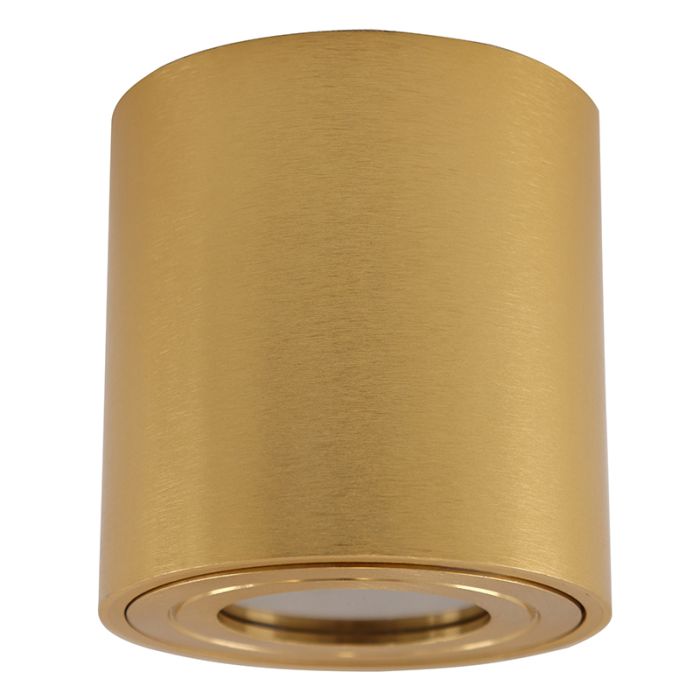 Metal surface mounted downlight brass, Alion, IP44