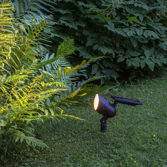 Aluminium solar garden spike light black, Ancilla, 0,064W, 3000K LED, IP44