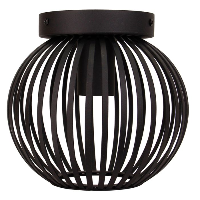 Industrial ceiling light black, Lieve