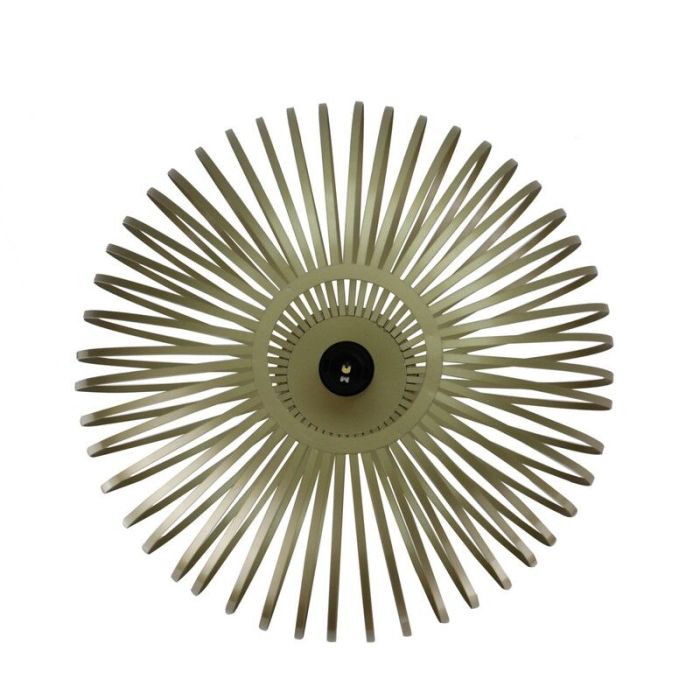 Industrial flush ceiling light gold, Lieve