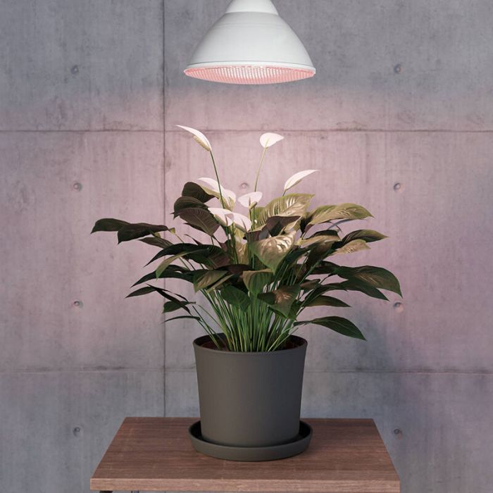 E27 PAR LED bulb for plants, 16W, 3500K