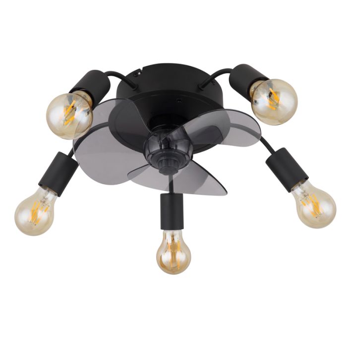 Black modern ceiling fan metal, Kiet, with remote control