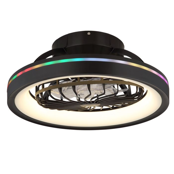 Black modern ceiling fan plastic, Lenard, 40W, warm to cold white adjustable LED, with remote control