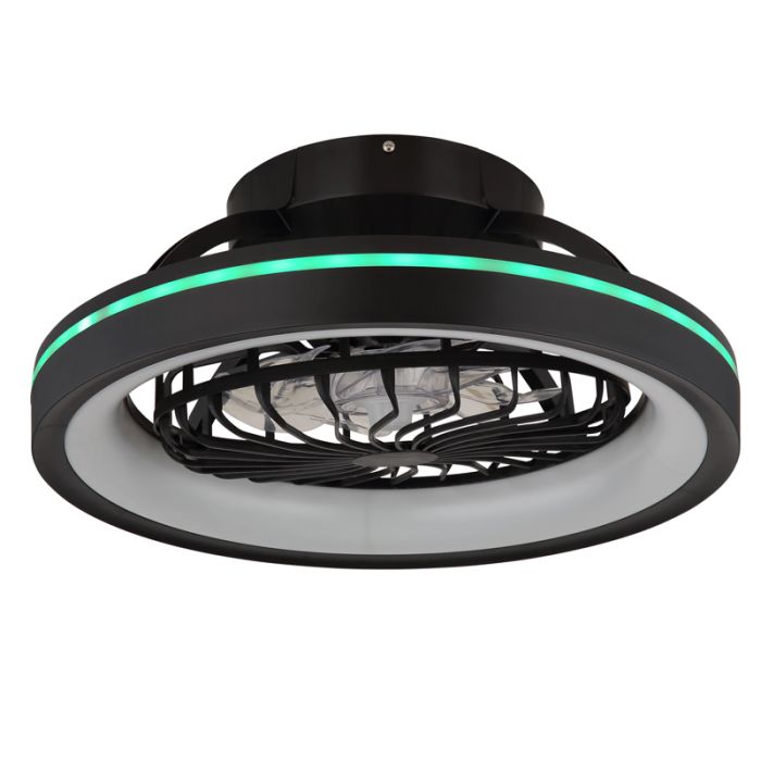 Black modern ceiling fan plastic, Lenard, 40W, warm to cold white adjustable LED, with remote control